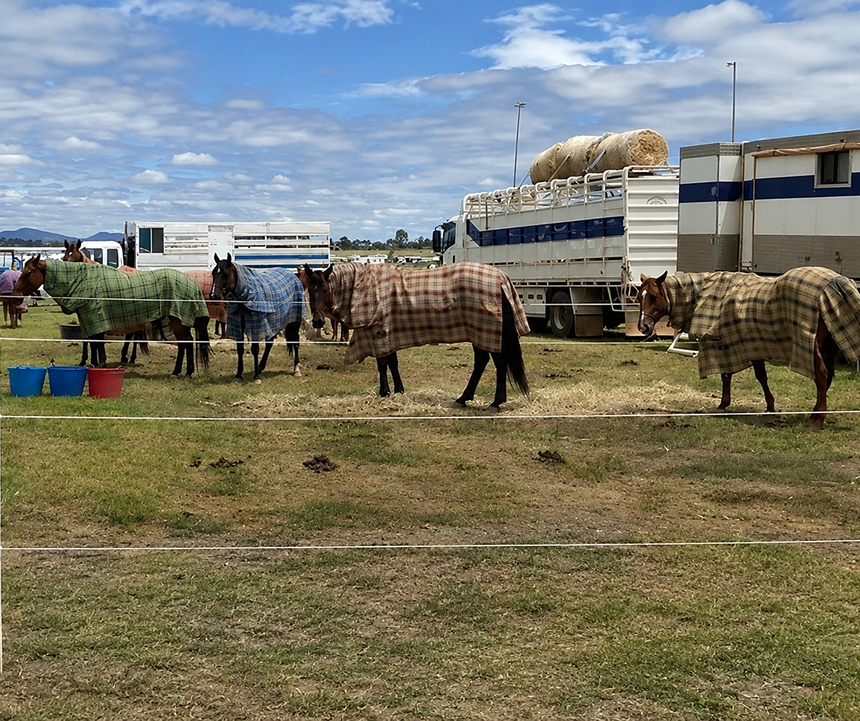Portable Horse Fence Kit